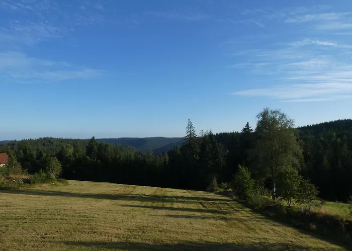 Naturapartment Schwarzwaldseele Kniebis