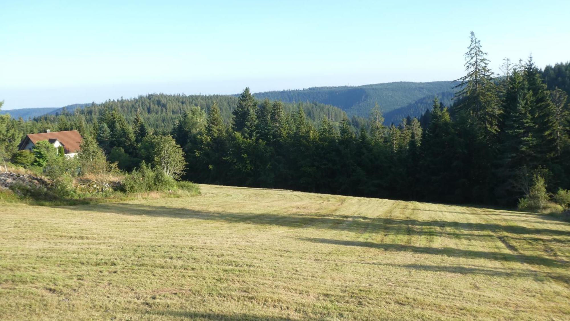 Apartment Naturapartment Schwarzwaldseele Kniebis *