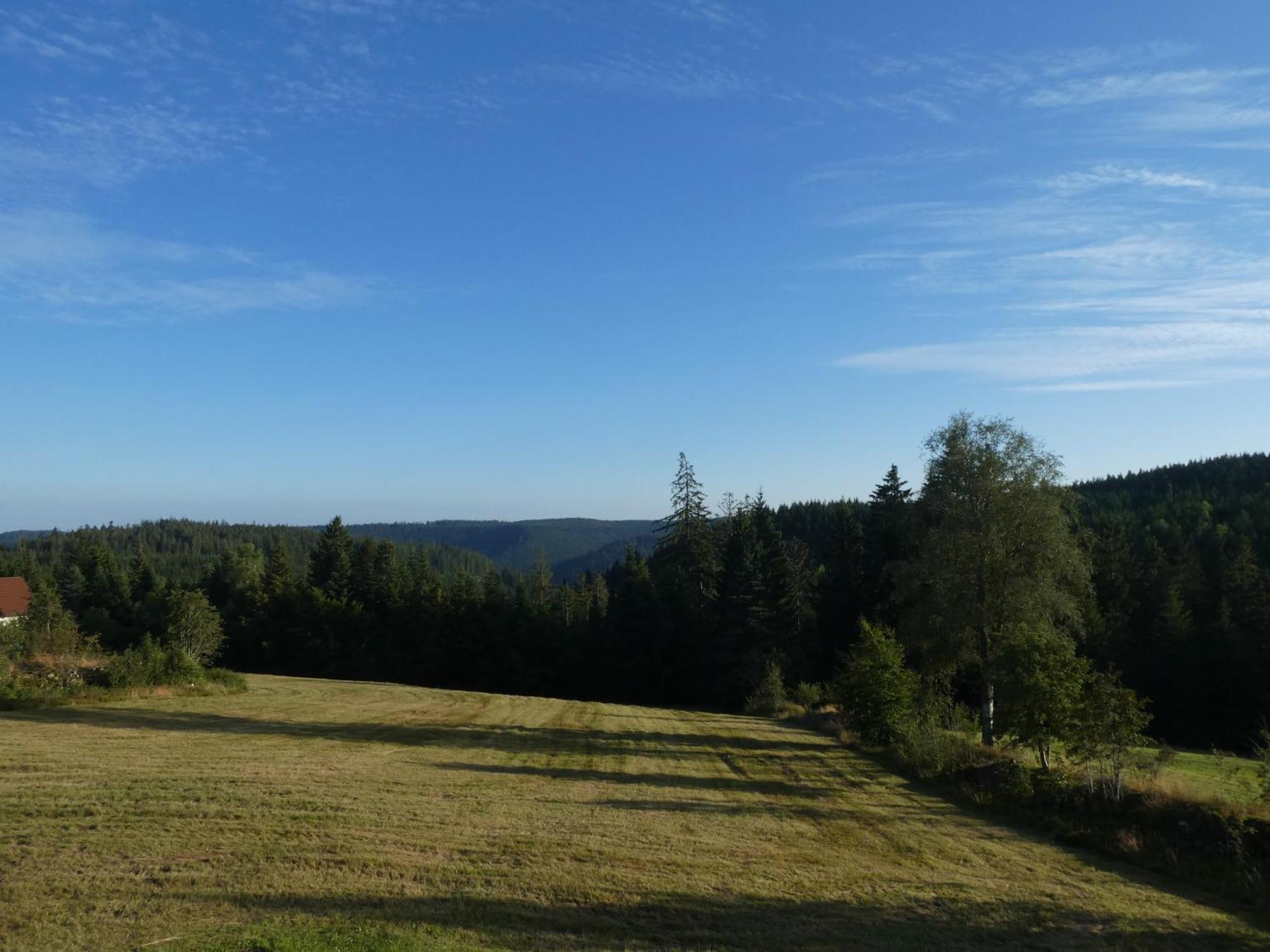 Apartment Naturapartment Schwarzwaldseele Kniebis *